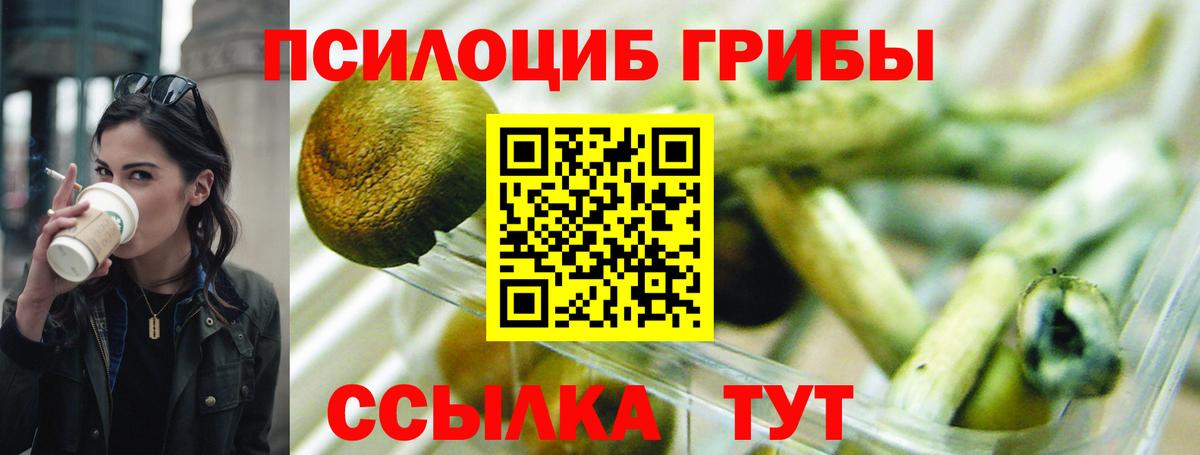 Славгород  закладка  Вход с VPN  Псилоцибиновые грибы Magic Shrooms 